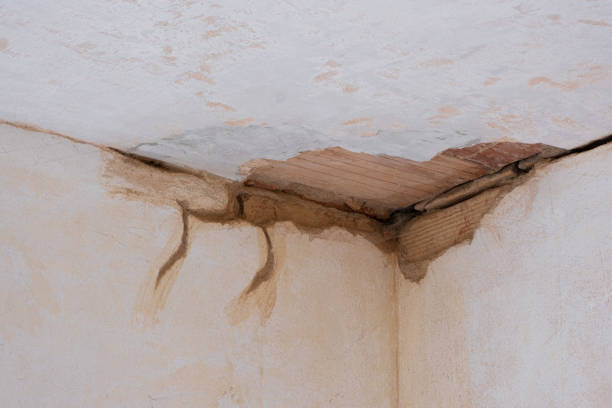 Best Water damage restoration near me  in Weldon, CA