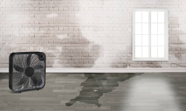 Reliable Weldon, CA Water damage restoration Solutions
