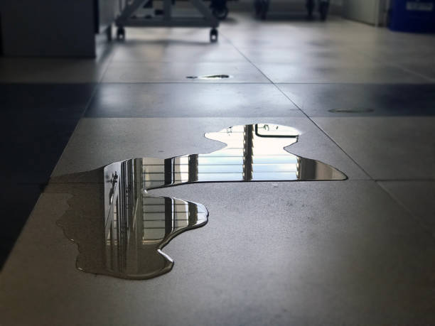 Carpet water damage restoration in Weldon, CA
