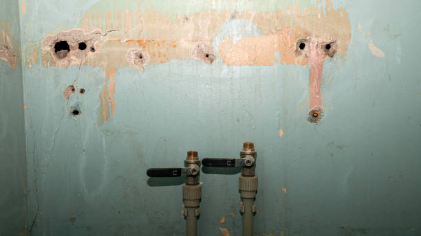 Water damage restoration mold remediation in Weldon, CA