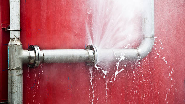 Best Professional water damage repair  in Weldon, CA